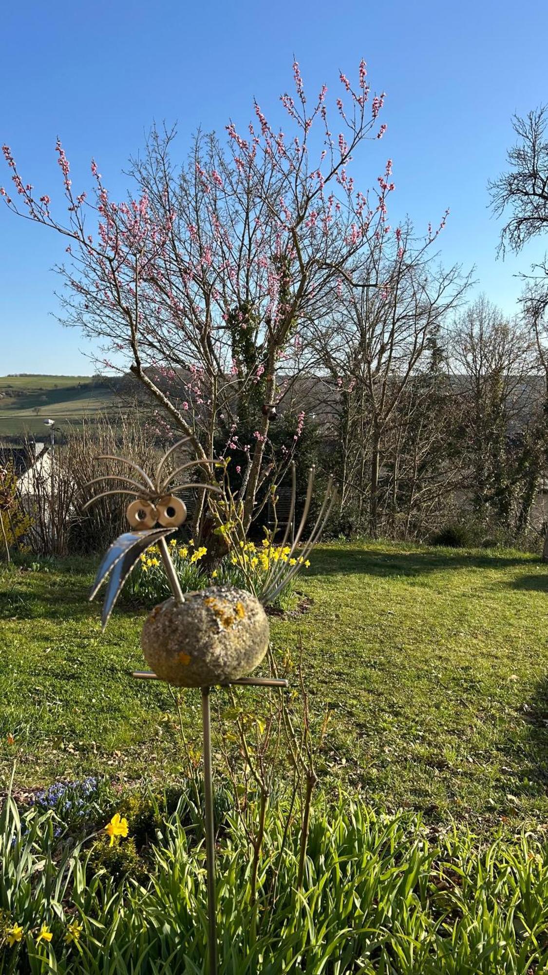 Panoramablick Apartment Bad Sobernheim Bagian luar foto
