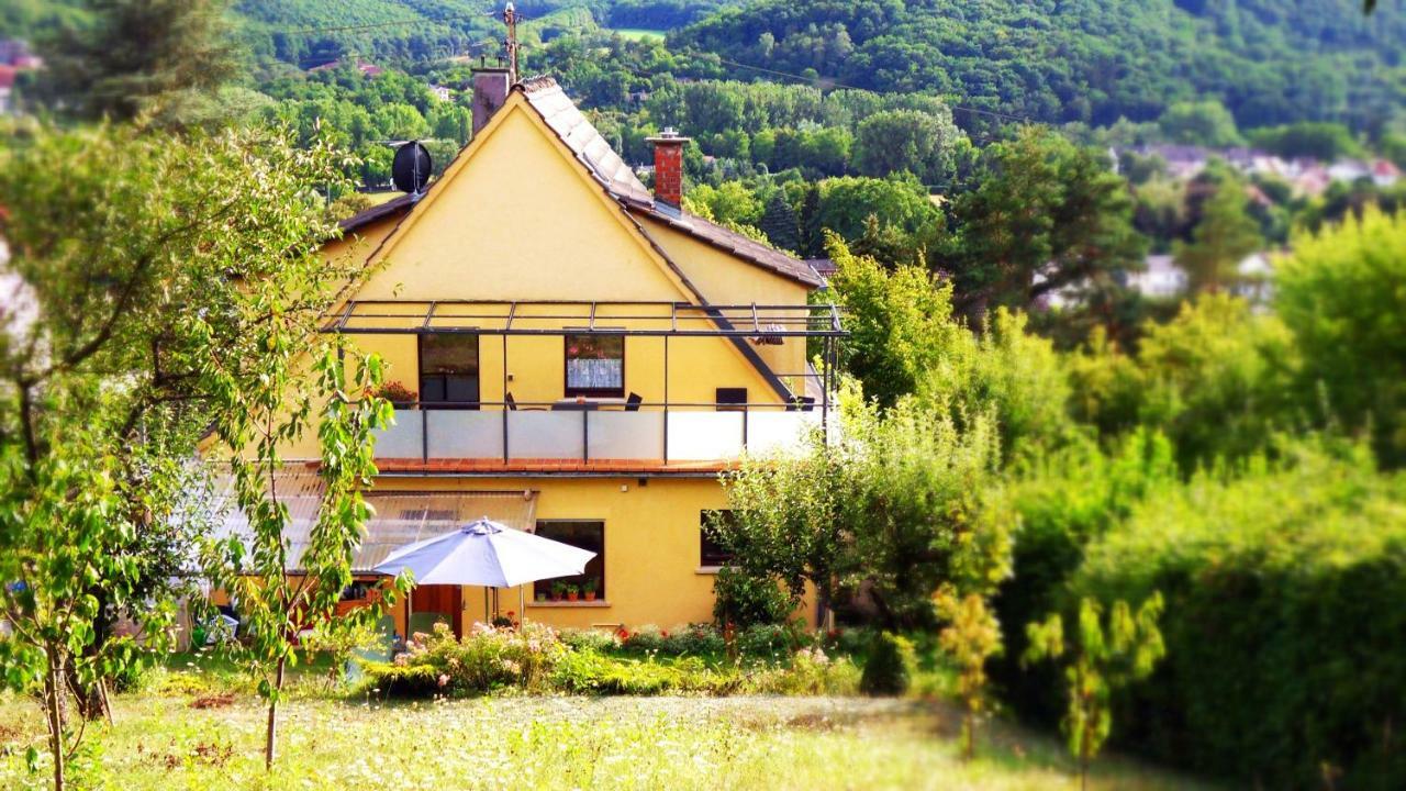 Panoramablick Apartment Bad Sobernheim Bagian luar foto